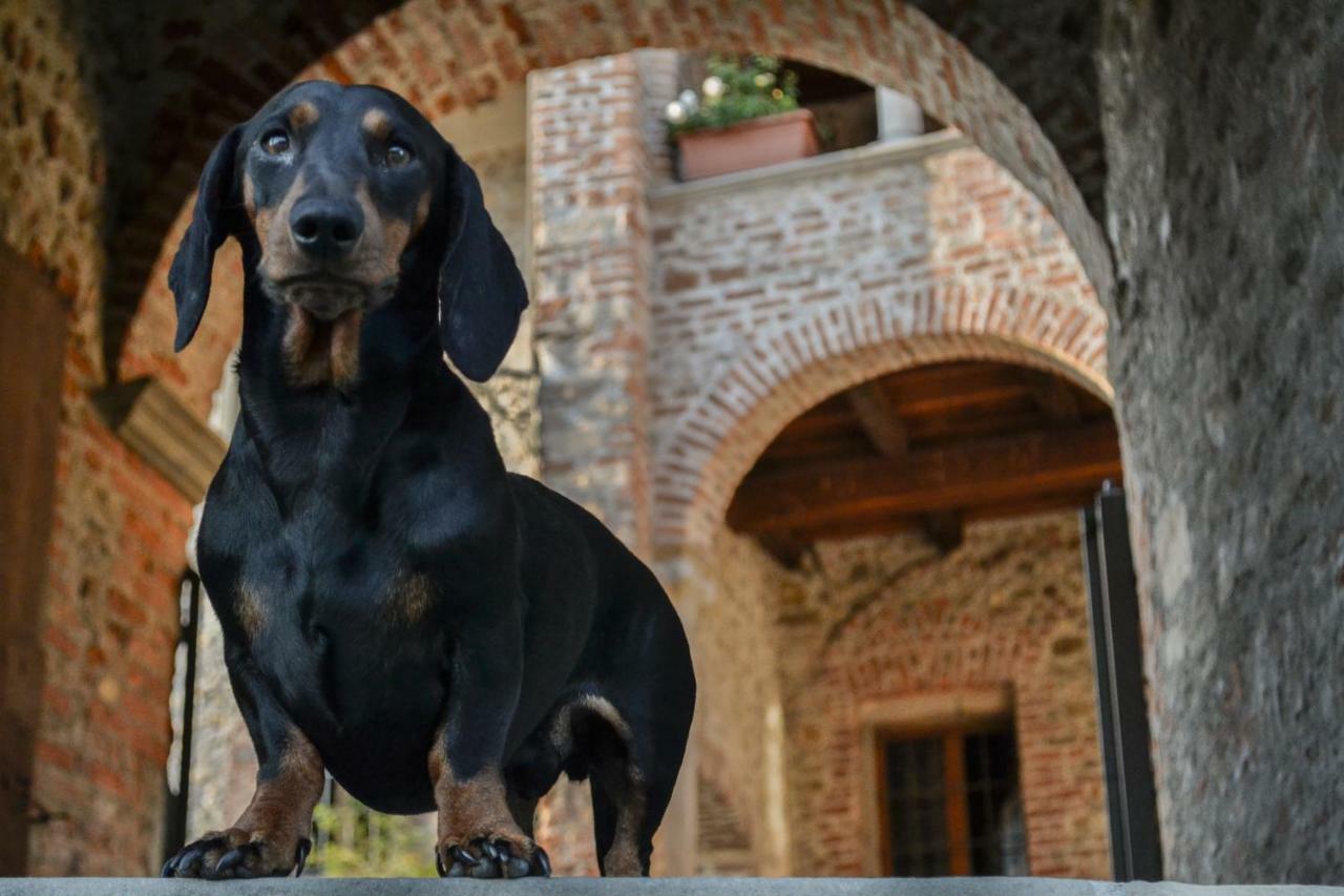 مبيت وإفطار Castello Di Cernusco Lombardone المظهر الخارجي الصورة