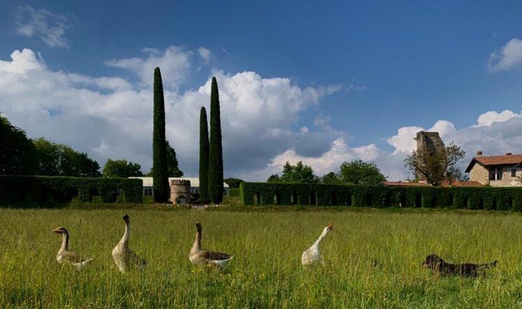 مبيت وإفطار Castello Di Cernusco Lombardone المظهر الخارجي الصورة